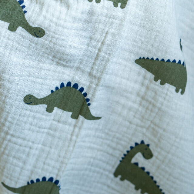 dinos.jpg