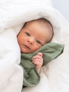 Mini-harso_olive.jpg